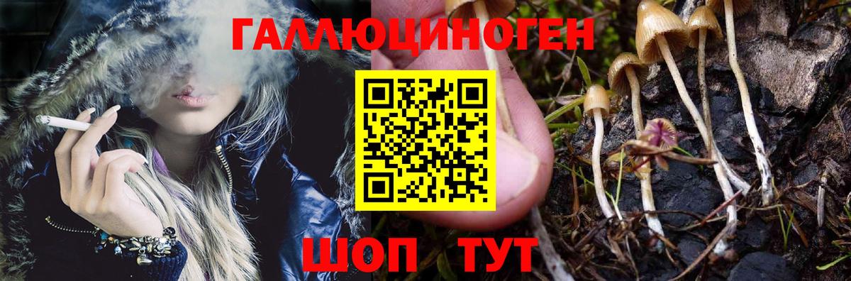 Галлюциногенные грибы Cubensis  как найти закладки  Орехово-Зуево  Вход с VPN 